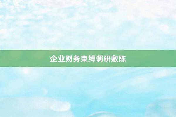 企业财务束缚调研敷陈